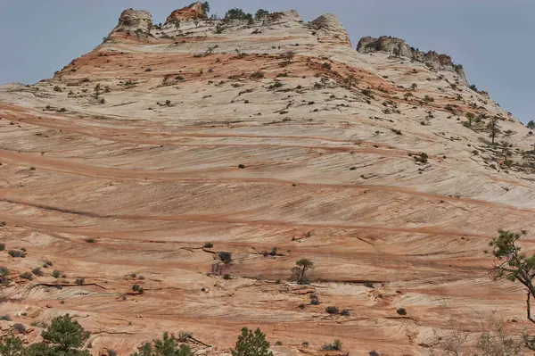 Utah Usa National Parks Felsformation Blickt Zum Gipfel Hinauf — Stockfoto