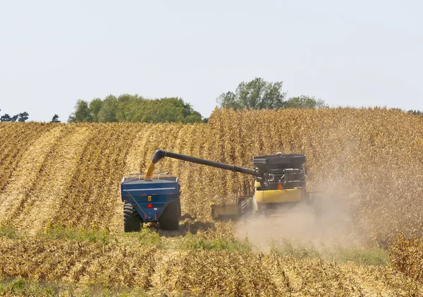 Iowa kukuřičných polí — Stock fotografie
