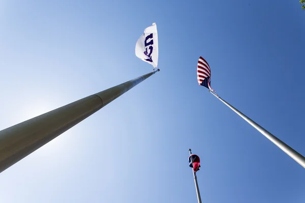 Christelijke Universiteit van Texas — Stockfoto