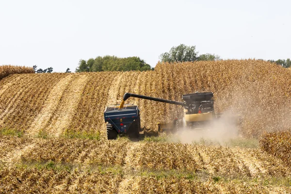 Iowa kukuřičných polí — Stock fotografie