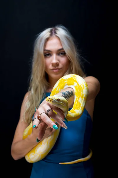 Розкішна Блондинка Позує Змією Боа Студійному Середовищі — стокове фото
