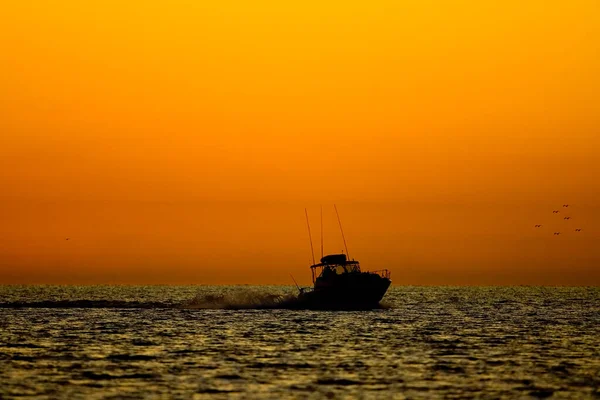 Fiske Utanför Mexikos Kust Semestern — Stockfoto