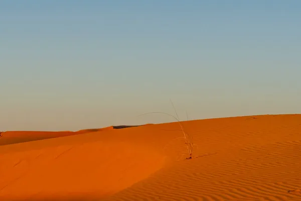 Песчаные Дюны Великой Пустыне Сахара Марокко — стоковое фото