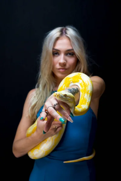 Розкішна Блондинка Позує Змією Боа Студійному Середовищі — стокове фото