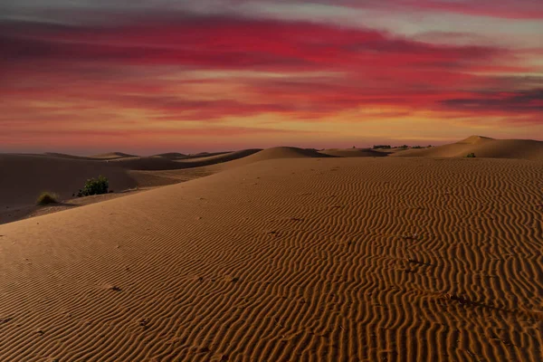 Αμμόλοφοι Στη Μεγάλη Έρημο Σαχάρα Στο Μαρόκο — Φωτογραφία Αρχείου