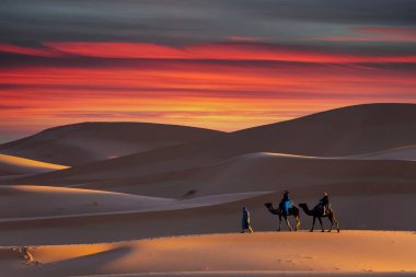 Two passengers and their handler travel in the Saharan Desert in Morocco clipart