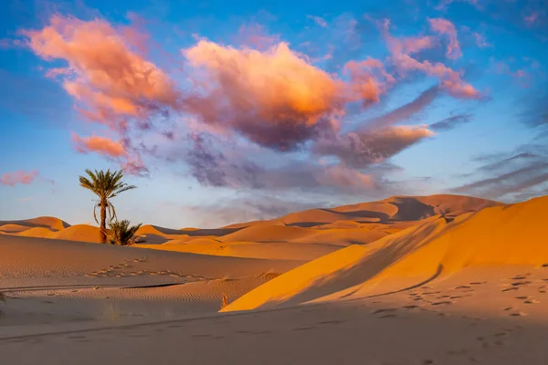 Dune Sabbia Nel Grande Deserto Del Sahara Marocco — Foto Stock