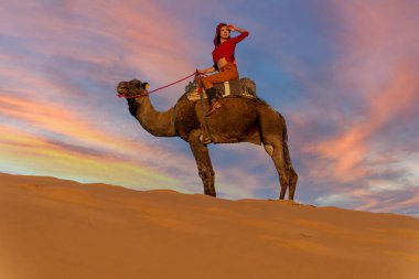 Güzel bir model Fas 'taki Sahra Çölü' nde deve sürüyor.