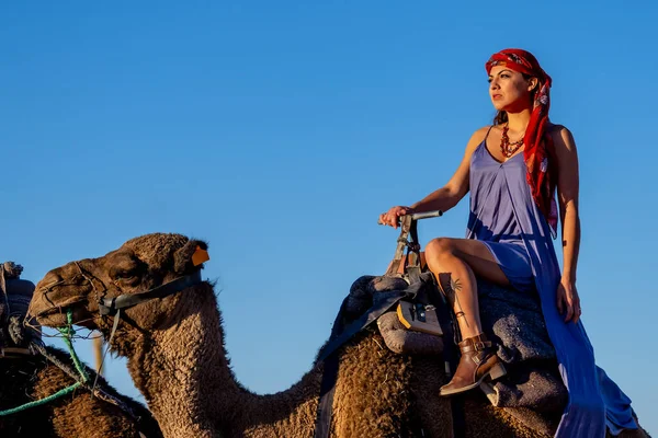 Beautiful Model Rides Camel Saharan Desert Morocco — Photo