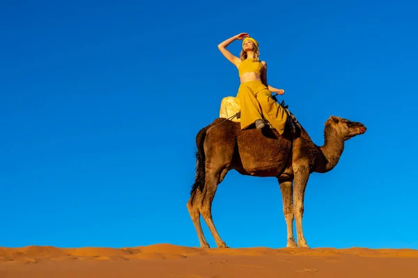 Ein Schönes Model Reitet Auf Einem Kamel Durch Die Sahara — Stockfoto