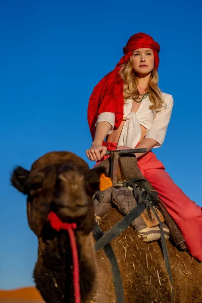 Beautiful Model Rides Camel Saharan Desert Morocco — Photo