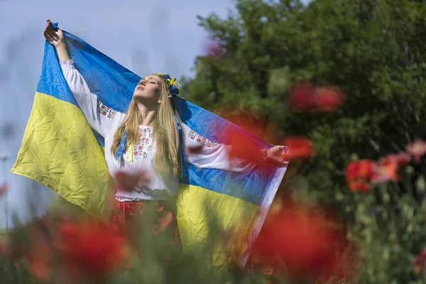 Μια Νεαρή Ξανθιά Ουκρανή Στέκεται Ένα Χωράφι Κόκκινα Λουλούδια Παπαρούνας — Φωτογραφία Αρχείου