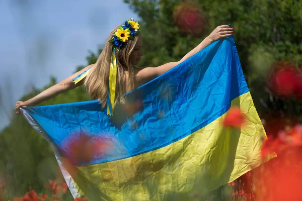 Uma Jovem Loira Ucraniana Está Campo Flores Papoula Vermelha Segurando — Fotografia de Stock