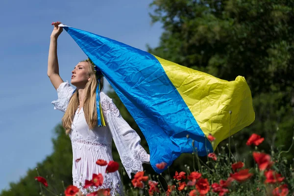Una Joven Rubia Ucraniana Encuentra Campo Flores Amapola Roja Sosteniendo —  Fotos de Stock