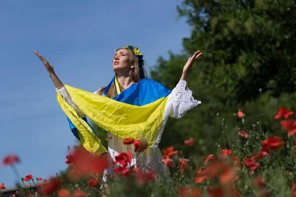 Молода Блондинка Українка Стоїть Полі Червоних Квіток Тримають Прапор України — стокове фото