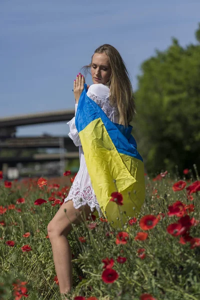 Ukraynalı genç sarışın bir kadın elinde Ukrayna bayrağıyla kırmızı gelincik tarlasında duruyor ve memleketi Ukrayna 'daki savaşa verdiği desteği gösteriyor.