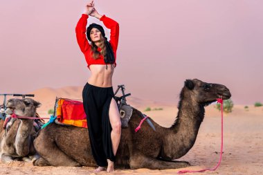 A beautiful model rides a camel through the Saharan Desert in Morocco clipart