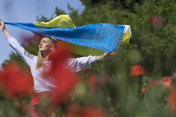 Молода Блондинка Українка Стоїть Полі Червоних Квіток Тримають Прапор України — стокове фото