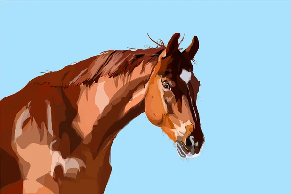 Caballo — Vector de stock