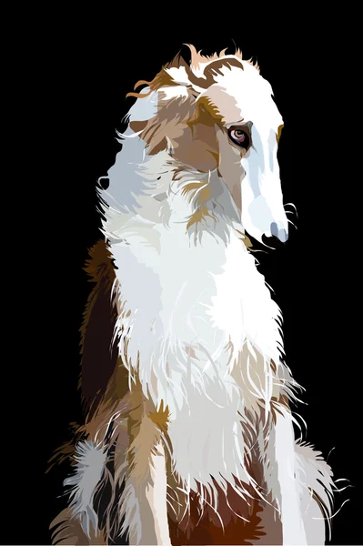 Borzoi ruso . — Archivo Imágenes Vectoriales