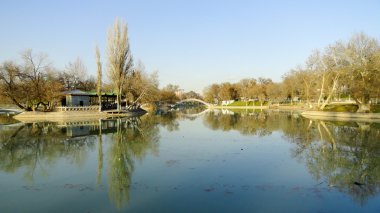 Parktaki köprü.