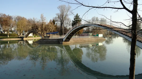 Brug in het park. — Stockfoto