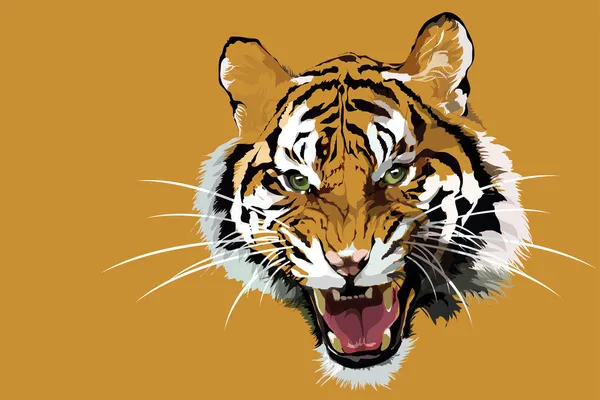 Tigre — Image vectorielle