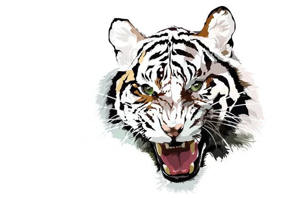 Tigre — Image vectorielle