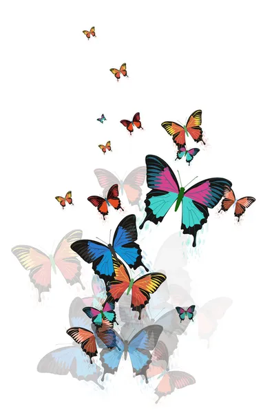 Fondo abstracto de color con vector de mariposas . — Archivo Imágenes Vectoriales