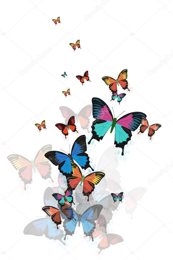 Colored abstract background with butterflies vector.