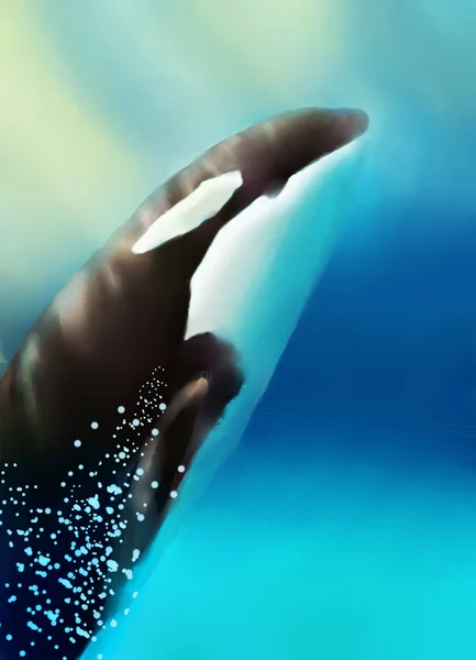 Kardszárnyú delfin és a tenger. — Stock Fotó