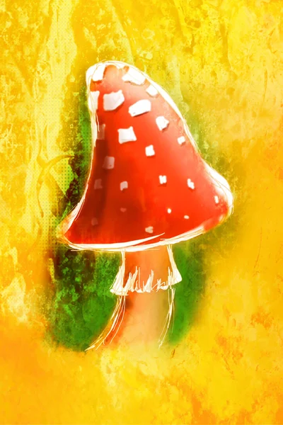 Fly agaric mushroom — Stock Photo, Image