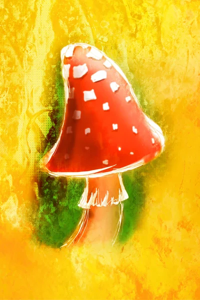 Fly agaric paddestoel — Stockfoto