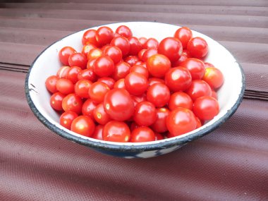 küçük domates