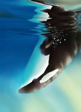 Orca en penguin.