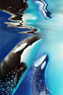 Orca en penguin.