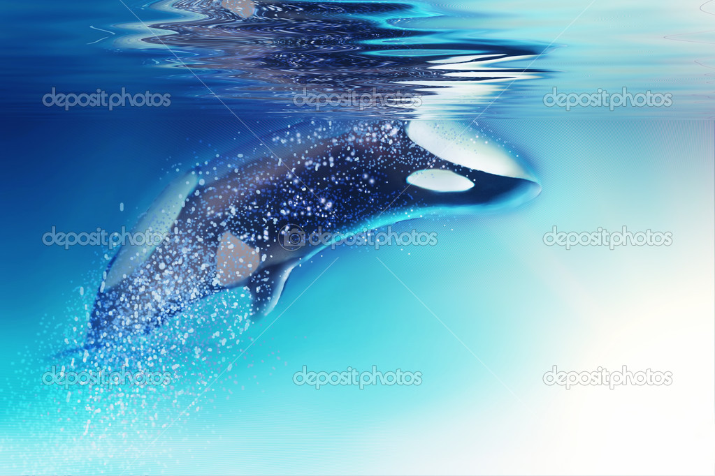 Killer whale and sea. Stock Photo by ©tatiantmarie 31172347