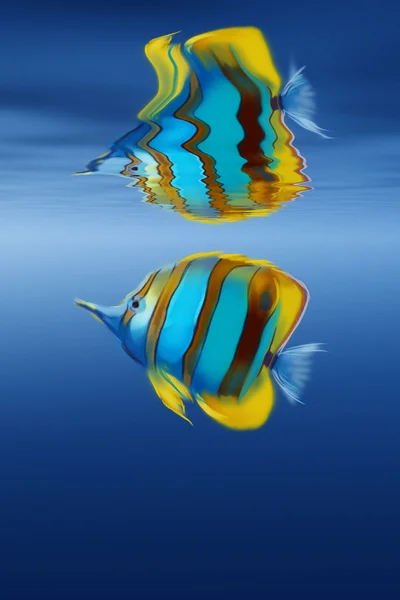 Peixe nas ondas do mar . — Fotografia de Stock