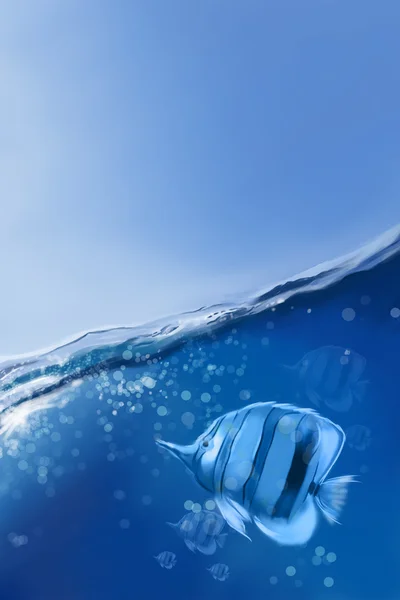 Peces en las olas del mar . — Foto de Stock