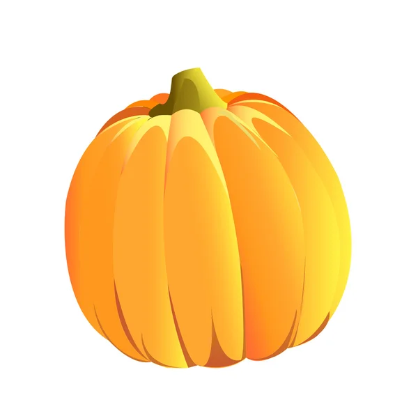 Pumpkin — Stock Vector