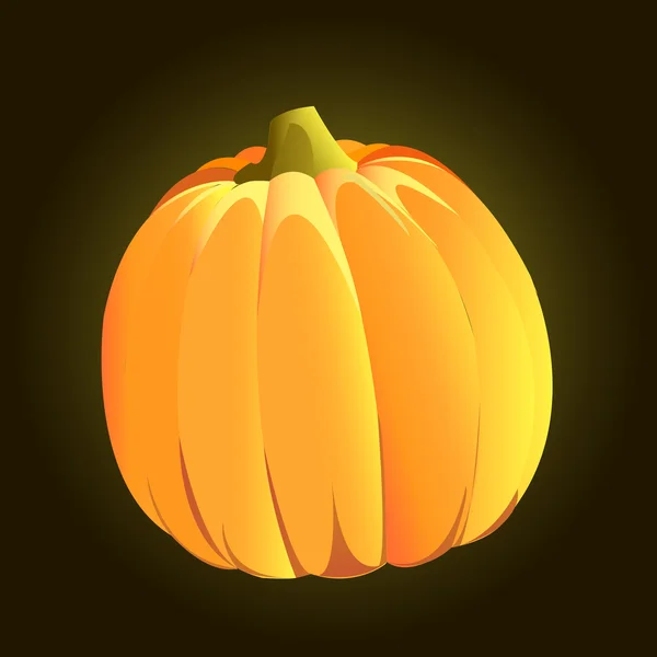 Pumpkin — Stock Vector