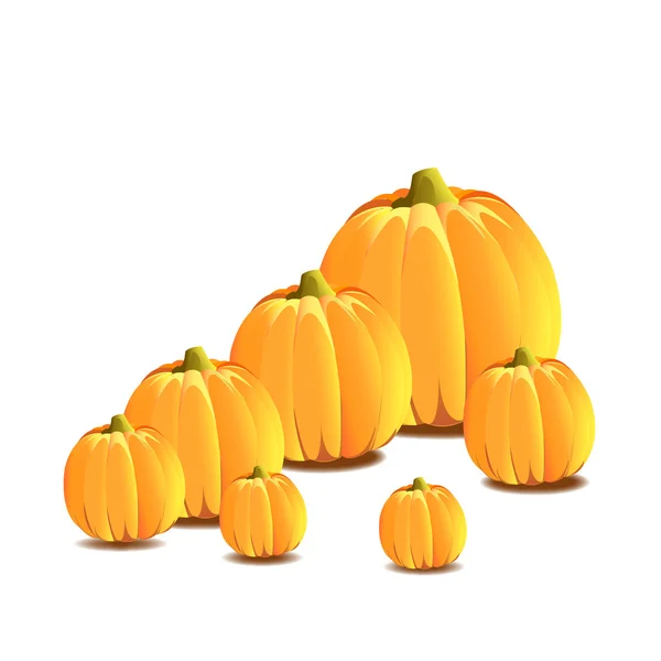 Pumpkin — Stock Vector