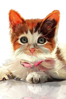 Yavru kedi.