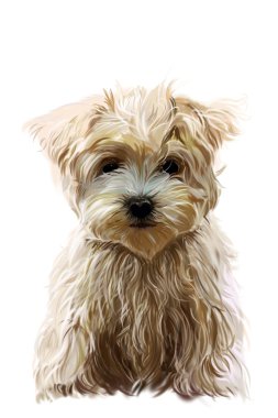 Köpek..