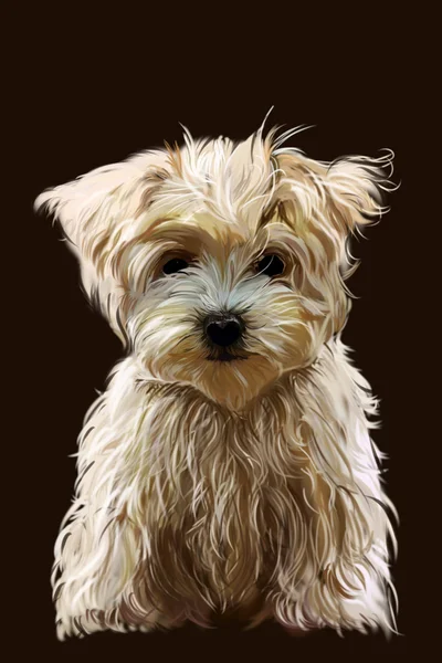 Köpek..