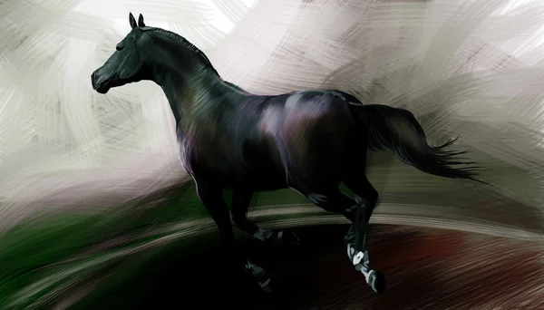 Koń — Zdjęcie stockowe