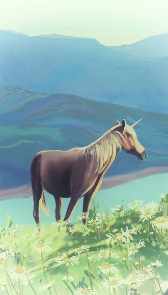 Pferd in den Bergen. — Stockfoto