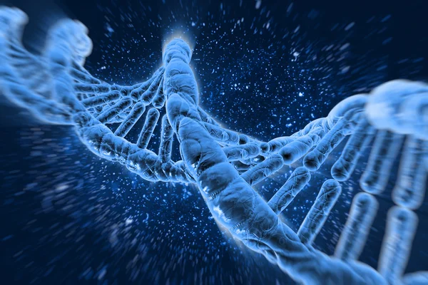 Molécula de ADN Fotos De Stock Sin Royalties Gratis
