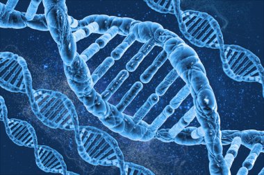DNA molekülleri