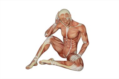 Muscular male with visible muscles clipart